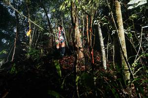 BIB: 
                            <button type="button" onclick="openModal(26389778)" class="btn btn-primary btn-sm float-right btn-popup" data-toggle="modal" data-target=".modal-high-quality">
                        <i class="fas fa-shopping-cart"></i> Add to Cart
                    </button>
                                            <button type="button" onclick="isThisMe(26389778, true)" class="btn btn-success btn-sm float-right btn-popup btn-isme hidden" data-toggle="tooltip" data-placement="bottom" title="นี่คือรูปของคุณใช่ไหม คลิกที่นี่เพื่อเอาเข้าอัลบั้ม">
                        <i class="fas fa-plus"></i> Add to album
                    </button>
                    <button type="button" onclick="isThisMe(26389778, false)" class="btn btn-warning btn-sm float-right btn-popup btn-isnotme hidden">
                        <i class="fas fa-ban"></i> Remove from album
                    </button>