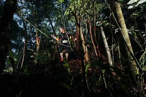 BIB: 
                            <button type="button" onclick="openModal(26390370)" class="btn btn-primary btn-sm float-right btn-popup" data-toggle="modal" data-target=".modal-high-quality">
                        <i class="fas fa-shopping-cart"></i> Add to Cart
                    </button>
                                            <button type="button" onclick="isThisMe(26390370, true)" class="btn btn-success btn-sm float-right btn-popup btn-isme hidden" data-toggle="tooltip" data-placement="bottom" title="นี่คือรูปของคุณใช่ไหม คลิกที่นี่เพื่อเอาเข้าอัลบั้ม">
                        <i class="fas fa-plus"></i> Add to album
                    </button>
                    <button type="button" onclick="isThisMe(26390370, false)" class="btn btn-warning btn-sm float-right btn-popup btn-isnotme hidden">
                        <i class="fas fa-ban"></i> Remove from album
                    </button>