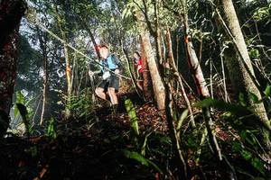 BIB: 
                            <button type="button" onclick="openModal(26389300)" class="btn btn-primary btn-sm float-right btn-popup" data-toggle="modal" data-target=".modal-high-quality">
                        <i class="fas fa-shopping-cart"></i> Add to Cart
                    </button>
                                            <button type="button" onclick="isThisMe(26389300, true)" class="btn btn-success btn-sm float-right btn-popup btn-isme hidden" data-toggle="tooltip" data-placement="bottom" title="นี่คือรูปของคุณใช่ไหม คลิกที่นี่เพื่อเอาเข้าอัลบั้ม">
                        <i class="fas fa-plus"></i> Add to album
                    </button>
                    <button type="button" onclick="isThisMe(26389300, false)" class="btn btn-warning btn-sm float-right btn-popup btn-isnotme hidden">
                        <i class="fas fa-ban"></i> Remove from album
                    </button>