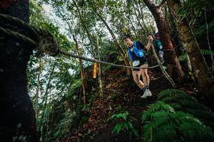 BIB: 
                            <button type="button" onclick="openModal(26403580)" class="btn btn-primary btn-sm float-right btn-popup" data-toggle="modal" data-target=".modal-high-quality">
                        <i class="fas fa-shopping-cart"></i> Add to Cart
                    </button>
                                            <button type="button" onclick="isThisMe(26403580, true)" class="btn btn-success btn-sm float-right btn-popup btn-isme hidden" data-toggle="tooltip" data-placement="bottom" title="นี่คือรูปของคุณใช่ไหม คลิกที่นี่เพื่อเอาเข้าอัลบั้ม">
                        <i class="fas fa-plus"></i> Add to album
                    </button>
                    <button type="button" onclick="isThisMe(26403580, false)" class="btn btn-warning btn-sm float-right btn-popup btn-isnotme hidden">
                        <i class="fas fa-ban"></i> Remove from album
                    </button>