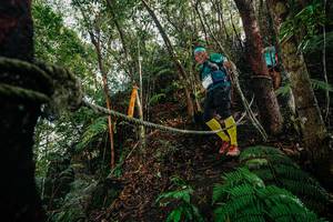 BIB: 
                            <button type="button" onclick="openModal(26404675)" class="btn btn-primary btn-sm float-right btn-popup" data-toggle="modal" data-target=".modal-high-quality">
                        <i class="fas fa-shopping-cart"></i> Add to Cart
                    </button>
                                            <button type="button" onclick="isThisMe(26404675, true)" class="btn btn-success btn-sm float-right btn-popup btn-isme hidden" data-toggle="tooltip" data-placement="bottom" title="นี่คือรูปของคุณใช่ไหม คลิกที่นี่เพื่อเอาเข้าอัลบั้ม">
                        <i class="fas fa-plus"></i> Add to album
                    </button>
                    <button type="button" onclick="isThisMe(26404675, false)" class="btn btn-warning btn-sm float-right btn-popup btn-isnotme hidden">
                        <i class="fas fa-ban"></i> Remove from album
                    </button>