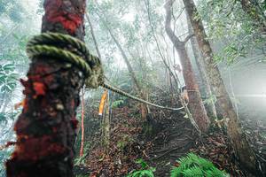 BIB: 
                            <button type="button" onclick="openModal(26402290)" class="btn btn-primary btn-sm float-right btn-popup" data-toggle="modal" data-target=".modal-high-quality">
                        <i class="fas fa-shopping-cart"></i> Add to Cart
                    </button>
                                            <button type="button" onclick="isThisMe(26402290, true)" class="btn btn-success btn-sm float-right btn-popup btn-isme hidden" data-toggle="tooltip" data-placement="bottom" title="นี่คือรูปของคุณใช่ไหม คลิกที่นี่เพื่อเอาเข้าอัลบั้ม">
                        <i class="fas fa-plus"></i> Add to album
                    </button>
                    <button type="button" onclick="isThisMe(26402290, false)" class="btn btn-warning btn-sm float-right btn-popup btn-isnotme hidden">
                        <i class="fas fa-ban"></i> Remove from album
                    </button>