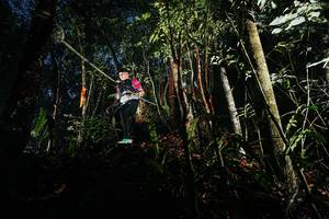 BIB: 
                            <button type="button" onclick="openModal(26386984)" class="btn btn-primary btn-sm float-right btn-popup" data-toggle="modal" data-target=".modal-high-quality">
                        <i class="fas fa-shopping-cart"></i> Add to Cart
                    </button>
                                            <button type="button" onclick="isThisMe(26386984, true)" class="btn btn-success btn-sm float-right btn-popup btn-isme hidden" data-toggle="tooltip" data-placement="bottom" title="นี่คือรูปของคุณใช่ไหม คลิกที่นี่เพื่อเอาเข้าอัลบั้ม">
                        <i class="fas fa-plus"></i> Add to album
                    </button>
                    <button type="button" onclick="isThisMe(26386984, false)" class="btn btn-warning btn-sm float-right btn-popup btn-isnotme hidden">
                        <i class="fas fa-ban"></i> Remove from album
                    </button>