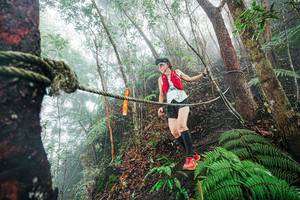 BIB: 
                            <button type="button" onclick="openModal(26402443)" class="btn btn-primary btn-sm float-right btn-popup" data-toggle="modal" data-target=".modal-high-quality">
                        <i class="fas fa-shopping-cart"></i> Add to Cart
                    </button>
                                            <button type="button" onclick="isThisMe(26402443, true)" class="btn btn-success btn-sm float-right btn-popup btn-isme hidden" data-toggle="tooltip" data-placement="bottom" title="นี่คือรูปของคุณใช่ไหม คลิกที่นี่เพื่อเอาเข้าอัลบั้ม">
                        <i class="fas fa-plus"></i> Add to album
                    </button>
                    <button type="button" onclick="isThisMe(26402443, false)" class="btn btn-warning btn-sm float-right btn-popup btn-isnotme hidden">
                        <i class="fas fa-ban"></i> Remove from album
                    </button>