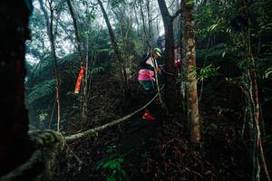 BIB: 
                            <button type="button" onclick="openModal(26401621)" class="btn btn-primary btn-sm float-right btn-popup" data-toggle="modal" data-target=".modal-high-quality">
                        <i class="fas fa-shopping-cart"></i> Add to Cart
                    </button>
                                            <button type="button" onclick="isThisMe(26401621, true)" class="btn btn-success btn-sm float-right btn-popup btn-isme hidden" data-toggle="tooltip" data-placement="bottom" title="นี่คือรูปของคุณใช่ไหม คลิกที่นี่เพื่อเอาเข้าอัลบั้ม">
                        <i class="fas fa-plus"></i> Add to album
                    </button>
                    <button type="button" onclick="isThisMe(26401621, false)" class="btn btn-warning btn-sm float-right btn-popup btn-isnotme hidden">
                        <i class="fas fa-ban"></i> Remove from album
                    </button>