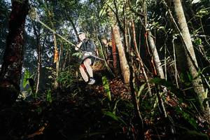 BIB: 
                            <button type="button" onclick="openModal(26389414)" class="btn btn-primary btn-sm float-right btn-popup" data-toggle="modal" data-target=".modal-high-quality">
                        <i class="fas fa-shopping-cart"></i> Add to Cart
                    </button>
                                            <button type="button" onclick="isThisMe(26389414, true)" class="btn btn-success btn-sm float-right btn-popup btn-isme hidden" data-toggle="tooltip" data-placement="bottom" title="นี่คือรูปของคุณใช่ไหม คลิกที่นี่เพื่อเอาเข้าอัลบั้ม">
                        <i class="fas fa-plus"></i> Add to album
                    </button>
                    <button type="button" onclick="isThisMe(26389414, false)" class="btn btn-warning btn-sm float-right btn-popup btn-isnotme hidden">
                        <i class="fas fa-ban"></i> Remove from album
                    </button>