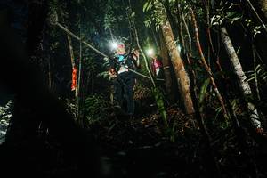 BIB: 
                            <button type="button" onclick="openModal(26385889)" class="btn btn-primary btn-sm float-right btn-popup" data-toggle="modal" data-target=".modal-high-quality">
                        <i class="fas fa-shopping-cart"></i> Add to Cart
                    </button>
                                            <button type="button" onclick="isThisMe(26385889, true)" class="btn btn-success btn-sm float-right btn-popup btn-isme hidden" data-toggle="tooltip" data-placement="bottom" title="นี่คือรูปของคุณใช่ไหม คลิกที่นี่เพื่อเอาเข้าอัลบั้ม">
                        <i class="fas fa-plus"></i> Add to album
                    </button>
                    <button type="button" onclick="isThisMe(26385889, false)" class="btn btn-warning btn-sm float-right btn-popup btn-isnotme hidden">
                        <i class="fas fa-ban"></i> Remove from album
                    </button>