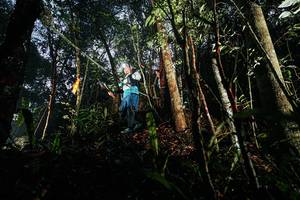 BIB: 
                            <button type="button" onclick="openModal(26389114)" class="btn btn-primary btn-sm float-right btn-popup" data-toggle="modal" data-target=".modal-high-quality">
                        <i class="fas fa-shopping-cart"></i> Add to Cart
                    </button>
                                            <button type="button" onclick="isThisMe(26389114, true)" class="btn btn-success btn-sm float-right btn-popup btn-isme hidden" data-toggle="tooltip" data-placement="bottom" title="นี่คือรูปของคุณใช่ไหม คลิกที่นี่เพื่อเอาเข้าอัลบั้ม">
                        <i class="fas fa-plus"></i> Add to album
                    </button>
                    <button type="button" onclick="isThisMe(26389114, false)" class="btn btn-warning btn-sm float-right btn-popup btn-isnotme hidden">
                        <i class="fas fa-ban"></i> Remove from album
                    </button>