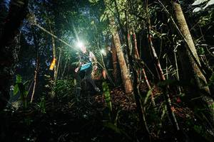 BIB: 
                            <button type="button" onclick="openModal(26387407)" class="btn btn-primary btn-sm float-right btn-popup" data-toggle="modal" data-target=".modal-high-quality">
                        <i class="fas fa-shopping-cart"></i> Add to Cart
                    </button>
                                            <button type="button" onclick="isThisMe(26387407, true)" class="btn btn-success btn-sm float-right btn-popup btn-isme hidden" data-toggle="tooltip" data-placement="bottom" title="นี่คือรูปของคุณใช่ไหม คลิกที่นี่เพื่อเอาเข้าอัลบั้ม">
                        <i class="fas fa-plus"></i> Add to album
                    </button>
                    <button type="button" onclick="isThisMe(26387407, false)" class="btn btn-warning btn-sm float-right btn-popup btn-isnotme hidden">
                        <i class="fas fa-ban"></i> Remove from album
                    </button>