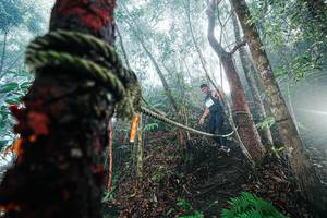 BIB: 
                            <button type="button" onclick="openModal(26402291)" class="btn btn-primary btn-sm float-right btn-popup" data-toggle="modal" data-target=".modal-high-quality">
                        <i class="fas fa-shopping-cart"></i> Add to Cart
                    </button>
                                            <button type="button" onclick="isThisMe(26402291, true)" class="btn btn-success btn-sm float-right btn-popup btn-isme hidden" data-toggle="tooltip" data-placement="bottom" title="นี่คือรูปของคุณใช่ไหม คลิกที่นี่เพื่อเอาเข้าอัลบั้ม">
                        <i class="fas fa-plus"></i> Add to album
                    </button>
                    <button type="button" onclick="isThisMe(26402291, false)" class="btn btn-warning btn-sm float-right btn-popup btn-isnotme hidden">
                        <i class="fas fa-ban"></i> Remove from album
                    </button>