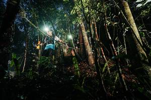 BIB: 
                            <button type="button" onclick="openModal(26387421)" class="btn btn-primary btn-sm float-right btn-popup" data-toggle="modal" data-target=".modal-high-quality">
                        <i class="fas fa-shopping-cart"></i> Add to Cart
                    </button>
                                            <button type="button" onclick="isThisMe(26387421, true)" class="btn btn-success btn-sm float-right btn-popup btn-isme hidden" data-toggle="tooltip" data-placement="bottom" title="นี่คือรูปของคุณใช่ไหม คลิกที่นี่เพื่อเอาเข้าอัลบั้ม">
                        <i class="fas fa-plus"></i> Add to album
                    </button>
                    <button type="button" onclick="isThisMe(26387421, false)" class="btn btn-warning btn-sm float-right btn-popup btn-isnotme hidden">
                        <i class="fas fa-ban"></i> Remove from album
                    </button>