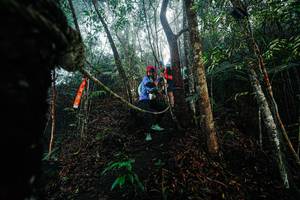 BIB: 
                            <button type="button" onclick="openModal(26401848)" class="btn btn-primary btn-sm float-right btn-popup" data-toggle="modal" data-target=".modal-high-quality">
                        <i class="fas fa-shopping-cart"></i> Add to Cart
                    </button>
                                            <button type="button" onclick="isThisMe(26401848, true)" class="btn btn-success btn-sm float-right btn-popup btn-isme hidden" data-toggle="tooltip" data-placement="bottom" title="นี่คือรูปของคุณใช่ไหม คลิกที่นี่เพื่อเอาเข้าอัลบั้ม">
                        <i class="fas fa-plus"></i> Add to album
                    </button>
                    <button type="button" onclick="isThisMe(26401848, false)" class="btn btn-warning btn-sm float-right btn-popup btn-isnotme hidden">
                        <i class="fas fa-ban"></i> Remove from album
                    </button>