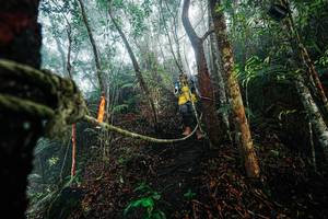 BIB: 
                            <button type="button" onclick="openModal(26402262)" class="btn btn-primary btn-sm float-right btn-popup" data-toggle="modal" data-target=".modal-high-quality">
                        <i class="fas fa-shopping-cart"></i> Add to Cart
                    </button>
                                            <button type="button" onclick="isThisMe(26402262, true)" class="btn btn-success btn-sm float-right btn-popup btn-isme hidden" data-toggle="tooltip" data-placement="bottom" title="นี่คือรูปของคุณใช่ไหม คลิกที่นี่เพื่อเอาเข้าอัลบั้ม">
                        <i class="fas fa-plus"></i> Add to album
                    </button>
                    <button type="button" onclick="isThisMe(26402262, false)" class="btn btn-warning btn-sm float-right btn-popup btn-isnotme hidden">
                        <i class="fas fa-ban"></i> Remove from album
                    </button>