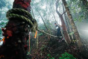 BIB: 
                            <button type="button" onclick="openModal(26402292)" class="btn btn-primary btn-sm float-right btn-popup" data-toggle="modal" data-target=".modal-high-quality">
                        <i class="fas fa-shopping-cart"></i> Add to Cart
                    </button>
                                            <button type="button" onclick="isThisMe(26402292, true)" class="btn btn-success btn-sm float-right btn-popup btn-isme hidden" data-toggle="tooltip" data-placement="bottom" title="นี่คือรูปของคุณใช่ไหม คลิกที่นี่เพื่อเอาเข้าอัลบั้ม">
                        <i class="fas fa-plus"></i> Add to album
                    </button>
                    <button type="button" onclick="isThisMe(26402292, false)" class="btn btn-warning btn-sm float-right btn-popup btn-isnotme hidden">
                        <i class="fas fa-ban"></i> Remove from album
                    </button>