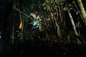 BIB: 
                            <button type="button" onclick="openModal(26386241)" class="btn btn-primary btn-sm float-right btn-popup" data-toggle="modal" data-target=".modal-high-quality">
                        <i class="fas fa-shopping-cart"></i> Add to Cart
                    </button>
                                            <button type="button" onclick="isThisMe(26386241, true)" class="btn btn-success btn-sm float-right btn-popup btn-isme hidden" data-toggle="tooltip" data-placement="bottom" title="นี่คือรูปของคุณใช่ไหม คลิกที่นี่เพื่อเอาเข้าอัลบั้ม">
                        <i class="fas fa-plus"></i> Add to album
                    </button>
                    <button type="button" onclick="isThisMe(26386241, false)" class="btn btn-warning btn-sm float-right btn-popup btn-isnotme hidden">
                        <i class="fas fa-ban"></i> Remove from album
                    </button>