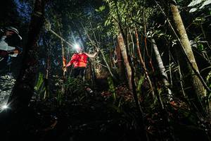 BIB: 
                            <button type="button" onclick="openModal(26387046)" class="btn btn-primary btn-sm float-right btn-popup" data-toggle="modal" data-target=".modal-high-quality">
                        <i class="fas fa-shopping-cart"></i> Add to Cart
                    </button>
                                            <button type="button" onclick="isThisMe(26387046, true)" class="btn btn-success btn-sm float-right btn-popup btn-isme hidden" data-toggle="tooltip" data-placement="bottom" title="นี่คือรูปของคุณใช่ไหม คลิกที่นี่เพื่อเอาเข้าอัลบั้ม">
                        <i class="fas fa-plus"></i> Add to album
                    </button>
                    <button type="button" onclick="isThisMe(26387046, false)" class="btn btn-warning btn-sm float-right btn-popup btn-isnotme hidden">
                        <i class="fas fa-ban"></i> Remove from album
                    </button>