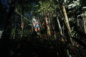 BIB: 
                            <button type="button" onclick="openModal(26386760)" class="btn btn-primary btn-sm float-right btn-popup" data-toggle="modal" data-target=".modal-high-quality">
                        <i class="fas fa-shopping-cart"></i> Add to Cart
                    </button>
                                            <button type="button" onclick="isThisMe(26386760, true)" class="btn btn-success btn-sm float-right btn-popup btn-isme hidden" data-toggle="tooltip" data-placement="bottom" title="นี่คือรูปของคุณใช่ไหม คลิกที่นี่เพื่อเอาเข้าอัลบั้ม">
                        <i class="fas fa-plus"></i> Add to album
                    </button>
                    <button type="button" onclick="isThisMe(26386760, false)" class="btn btn-warning btn-sm float-right btn-popup btn-isnotme hidden">
                        <i class="fas fa-ban"></i> Remove from album
                    </button>