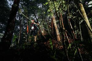 BIB: 
                            <button type="button" onclick="openModal(26388684)" class="btn btn-primary btn-sm float-right btn-popup" data-toggle="modal" data-target=".modal-high-quality">
                        <i class="fas fa-shopping-cart"></i> Add to Cart
                    </button>
                                            <button type="button" onclick="isThisMe(26388684, true)" class="btn btn-success btn-sm float-right btn-popup btn-isme hidden" data-toggle="tooltip" data-placement="bottom" title="นี่คือรูปของคุณใช่ไหม คลิกที่นี่เพื่อเอาเข้าอัลบั้ม">
                        <i class="fas fa-plus"></i> Add to album
                    </button>
                    <button type="button" onclick="isThisMe(26388684, false)" class="btn btn-warning btn-sm float-right btn-popup btn-isnotme hidden">
                        <i class="fas fa-ban"></i> Remove from album
                    </button>