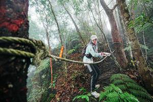 BIB: 
                            <button type="button" onclick="openModal(26402432)" class="btn btn-primary btn-sm float-right btn-popup" data-toggle="modal" data-target=".modal-high-quality">
                        <i class="fas fa-shopping-cart"></i> Add to Cart
                    </button>
                                            <button type="button" onclick="isThisMe(26402432, true)" class="btn btn-success btn-sm float-right btn-popup btn-isme hidden" data-toggle="tooltip" data-placement="bottom" title="นี่คือรูปของคุณใช่ไหม คลิกที่นี่เพื่อเอาเข้าอัลบั้ม">
                        <i class="fas fa-plus"></i> Add to album
                    </button>
                    <button type="button" onclick="isThisMe(26402432, false)" class="btn btn-warning btn-sm float-right btn-popup btn-isnotme hidden">
                        <i class="fas fa-ban"></i> Remove from album
                    </button>