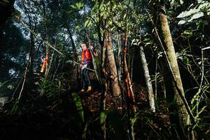 BIB: 
                            <button type="button" onclick="openModal(26392695)" class="btn btn-primary btn-sm float-right btn-popup" data-toggle="modal" data-target=".modal-high-quality">
                        <i class="fas fa-shopping-cart"></i> Add to Cart
                    </button>
                                            <button type="button" onclick="isThisMe(26392695, true)" class="btn btn-success btn-sm float-right btn-popup btn-isme hidden" data-toggle="tooltip" data-placement="bottom" title="นี่คือรูปของคุณใช่ไหม คลิกที่นี่เพื่อเอาเข้าอัลบั้ม">
                        <i class="fas fa-plus"></i> Add to album
                    </button>
                    <button type="button" onclick="isThisMe(26392695, false)" class="btn btn-warning btn-sm float-right btn-popup btn-isnotme hidden">
                        <i class="fas fa-ban"></i> Remove from album
                    </button>