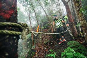 BIB: 
                            <button type="button" onclick="openModal(26402614)" class="btn btn-primary btn-sm float-right btn-popup" data-toggle="modal" data-target=".modal-high-quality">
                        <i class="fas fa-shopping-cart"></i> Add to Cart
                    </button>
                                            <button type="button" onclick="isThisMe(26402614, true)" class="btn btn-success btn-sm float-right btn-popup btn-isme hidden" data-toggle="tooltip" data-placement="bottom" title="นี่คือรูปของคุณใช่ไหม คลิกที่นี่เพื่อเอาเข้าอัลบั้ม">
                        <i class="fas fa-plus"></i> Add to album
                    </button>
                    <button type="button" onclick="isThisMe(26402614, false)" class="btn btn-warning btn-sm float-right btn-popup btn-isnotme hidden">
                        <i class="fas fa-ban"></i> Remove from album
                    </button>