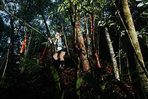 BIB: 
                            <button type="button" onclick="openModal(26393010)" class="btn btn-primary btn-sm float-right btn-popup" data-toggle="modal" data-target=".modal-high-quality">
                        <i class="fas fa-shopping-cart"></i> Add to Cart
                    </button>
                                            <button type="button" onclick="isThisMe(26393010, true)" class="btn btn-success btn-sm float-right btn-popup btn-isme hidden" data-toggle="tooltip" data-placement="bottom" title="นี่คือรูปของคุณใช่ไหม คลิกที่นี่เพื่อเอาเข้าอัลบั้ม">
                        <i class="fas fa-plus"></i> Add to album
                    </button>
                    <button type="button" onclick="isThisMe(26393010, false)" class="btn btn-warning btn-sm float-right btn-popup btn-isnotme hidden">
                        <i class="fas fa-ban"></i> Remove from album
                    </button>