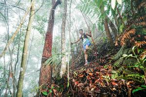 BIB: 
                            <button type="button" onclick="openModal(26402328)" class="btn btn-primary btn-sm float-right btn-popup" data-toggle="modal" data-target=".modal-high-quality">
                        <i class="fas fa-shopping-cart"></i> Add to Cart
                    </button>
                                            <button type="button" onclick="isThisMe(26402328, true)" class="btn btn-success btn-sm float-right btn-popup btn-isme hidden" data-toggle="tooltip" data-placement="bottom" title="นี่คือรูปของคุณใช่ไหม คลิกที่นี่เพื่อเอาเข้าอัลบั้ม">
                        <i class="fas fa-plus"></i> Add to album
                    </button>
                    <button type="button" onclick="isThisMe(26402328, false)" class="btn btn-warning btn-sm float-right btn-popup btn-isnotme hidden">
                        <i class="fas fa-ban"></i> Remove from album
                    </button>