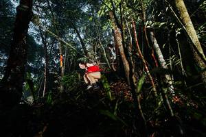 BIB: 
                            <button type="button" onclick="openModal(26392540)" class="btn btn-primary btn-sm float-right btn-popup" data-toggle="modal" data-target=".modal-high-quality">
                        <i class="fas fa-shopping-cart"></i> Add to Cart
                    </button>
                                            <button type="button" onclick="isThisMe(26392540, true)" class="btn btn-success btn-sm float-right btn-popup btn-isme hidden" data-toggle="tooltip" data-placement="bottom" title="นี่คือรูปของคุณใช่ไหม คลิกที่นี่เพื่อเอาเข้าอัลบั้ม">
                        <i class="fas fa-plus"></i> Add to album
                    </button>
                    <button type="button" onclick="isThisMe(26392540, false)" class="btn btn-warning btn-sm float-right btn-popup btn-isnotme hidden">
                        <i class="fas fa-ban"></i> Remove from album
                    </button>