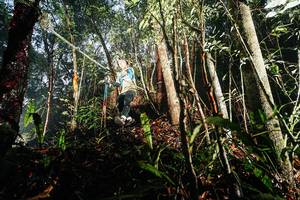 BIB: 
                            <button type="button" onclick="openModal(26389358)" class="btn btn-primary btn-sm float-right btn-popup" data-toggle="modal" data-target=".modal-high-quality">
                        <i class="fas fa-shopping-cart"></i> Add to Cart
                    </button>
                                            <button type="button" onclick="isThisMe(26389358, true)" class="btn btn-success btn-sm float-right btn-popup btn-isme hidden" data-toggle="tooltip" data-placement="bottom" title="นี่คือรูปของคุณใช่ไหม คลิกที่นี่เพื่อเอาเข้าอัลบั้ม">
                        <i class="fas fa-plus"></i> Add to album
                    </button>
                    <button type="button" onclick="isThisMe(26389358, false)" class="btn btn-warning btn-sm float-right btn-popup btn-isnotme hidden">
                        <i class="fas fa-ban"></i> Remove from album
                    </button>