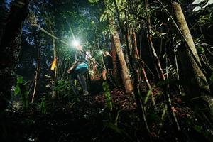 BIB: 
                            <button type="button" onclick="openModal(26387408)" class="btn btn-primary btn-sm float-right btn-popup" data-toggle="modal" data-target=".modal-high-quality">
                        <i class="fas fa-shopping-cart"></i> Add to Cart
                    </button>
                                            <button type="button" onclick="isThisMe(26387408, true)" class="btn btn-success btn-sm float-right btn-popup btn-isme hidden" data-toggle="tooltip" data-placement="bottom" title="นี่คือรูปของคุณใช่ไหม คลิกที่นี่เพื่อเอาเข้าอัลบั้ม">
                        <i class="fas fa-plus"></i> Add to album
                    </button>
                    <button type="button" onclick="isThisMe(26387408, false)" class="btn btn-warning btn-sm float-right btn-popup btn-isnotme hidden">
                        <i class="fas fa-ban"></i> Remove from album
                    </button>