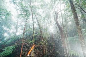 BIB: 
                            <button type="button" onclick="openModal(26402302)" class="btn btn-primary btn-sm float-right btn-popup" data-toggle="modal" data-target=".modal-high-quality">
                        <i class="fas fa-shopping-cart"></i> Add to Cart
                    </button>
                                            <button type="button" onclick="isThisMe(26402302, true)" class="btn btn-success btn-sm float-right btn-popup btn-isme hidden" data-toggle="tooltip" data-placement="bottom" title="นี่คือรูปของคุณใช่ไหม คลิกที่นี่เพื่อเอาเข้าอัลบั้ม">
                        <i class="fas fa-plus"></i> Add to album
                    </button>
                    <button type="button" onclick="isThisMe(26402302, false)" class="btn btn-warning btn-sm float-right btn-popup btn-isnotme hidden">
                        <i class="fas fa-ban"></i> Remove from album
                    </button>