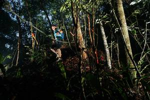 BIB: 
                            <button type="button" onclick="openModal(26389975)" class="btn btn-primary btn-sm float-right btn-popup" data-toggle="modal" data-target=".modal-high-quality">
                        <i class="fas fa-shopping-cart"></i> Add to Cart
                    </button>
                                            <button type="button" onclick="isThisMe(26389975, true)" class="btn btn-success btn-sm float-right btn-popup btn-isme hidden" data-toggle="tooltip" data-placement="bottom" title="นี่คือรูปของคุณใช่ไหม คลิกที่นี่เพื่อเอาเข้าอัลบั้ม">
                        <i class="fas fa-plus"></i> Add to album
                    </button>
                    <button type="button" onclick="isThisMe(26389975, false)" class="btn btn-warning btn-sm float-right btn-popup btn-isnotme hidden">
                        <i class="fas fa-ban"></i> Remove from album
                    </button>