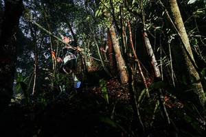 BIB: 
                            <button type="button" onclick="openModal(26388527)" class="btn btn-primary btn-sm float-right btn-popup" data-toggle="modal" data-target=".modal-high-quality">
                        <i class="fas fa-shopping-cart"></i> Add to Cart
                    </button>
                                            <button type="button" onclick="isThisMe(26388527, true)" class="btn btn-success btn-sm float-right btn-popup btn-isme hidden" data-toggle="tooltip" data-placement="bottom" title="นี่คือรูปของคุณใช่ไหม คลิกที่นี่เพื่อเอาเข้าอัลบั้ม">
                        <i class="fas fa-plus"></i> Add to album
                    </button>
                    <button type="button" onclick="isThisMe(26388527, false)" class="btn btn-warning btn-sm float-right btn-popup btn-isnotme hidden">
                        <i class="fas fa-ban"></i> Remove from album
                    </button>