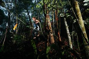 BIB: 
                            <button type="button" onclick="openModal(26393375)" class="btn btn-primary btn-sm float-right btn-popup" data-toggle="modal" data-target=".modal-high-quality">
                        <i class="fas fa-shopping-cart"></i> Add to Cart
                    </button>
                                            <button type="button" onclick="isThisMe(26393375, true)" class="btn btn-success btn-sm float-right btn-popup btn-isme hidden" data-toggle="tooltip" data-placement="bottom" title="นี่คือรูปของคุณใช่ไหม คลิกที่นี่เพื่อเอาเข้าอัลบั้ม">
                        <i class="fas fa-plus"></i> Add to album
                    </button>
                    <button type="button" onclick="isThisMe(26393375, false)" class="btn btn-warning btn-sm float-right btn-popup btn-isnotme hidden">
                        <i class="fas fa-ban"></i> Remove from album
                    </button>