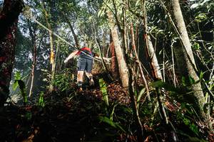 BIB: 
                            <button type="button" onclick="openModal(26389334)" class="btn btn-primary btn-sm float-right btn-popup" data-toggle="modal" data-target=".modal-high-quality">
                        <i class="fas fa-shopping-cart"></i> Add to Cart
                    </button>
                                            <button type="button" onclick="isThisMe(26389334, true)" class="btn btn-success btn-sm float-right btn-popup btn-isme hidden" data-toggle="tooltip" data-placement="bottom" title="นี่คือรูปของคุณใช่ไหม คลิกที่นี่เพื่อเอาเข้าอัลบั้ม">
                        <i class="fas fa-plus"></i> Add to album
                    </button>
                    <button type="button" onclick="isThisMe(26389334, false)" class="btn btn-warning btn-sm float-right btn-popup btn-isnotme hidden">
                        <i class="fas fa-ban"></i> Remove from album
                    </button>