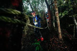 BIB: 
                            <button type="button" onclick="openModal(26397025)" class="btn btn-primary btn-sm float-right btn-popup" data-toggle="modal" data-target=".modal-high-quality">
                        <i class="fas fa-shopping-cart"></i> Add to Cart
                    </button>
                                            <button type="button" onclick="isThisMe(26397025, true)" class="btn btn-success btn-sm float-right btn-popup btn-isme hidden" data-toggle="tooltip" data-placement="bottom" title="นี่คือรูปของคุณใช่ไหม คลิกที่นี่เพื่อเอาเข้าอัลบั้ม">
                        <i class="fas fa-plus"></i> Add to album
                    </button>
                    <button type="button" onclick="isThisMe(26397025, false)" class="btn btn-warning btn-sm float-right btn-popup btn-isnotme hidden">
                        <i class="fas fa-ban"></i> Remove from album
                    </button>