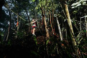 BIB: 
                            <button type="button" onclick="openModal(26390858)" class="btn btn-primary btn-sm float-right btn-popup" data-toggle="modal" data-target=".modal-high-quality">
                        <i class="fas fa-shopping-cart"></i> Add to Cart
                    </button>
                                            <button type="button" onclick="isThisMe(26390858, true)" class="btn btn-success btn-sm float-right btn-popup btn-isme hidden" data-toggle="tooltip" data-placement="bottom" title="นี่คือรูปของคุณใช่ไหม คลิกที่นี่เพื่อเอาเข้าอัลบั้ม">
                        <i class="fas fa-plus"></i> Add to album
                    </button>
                    <button type="button" onclick="isThisMe(26390858, false)" class="btn btn-warning btn-sm float-right btn-popup btn-isnotme hidden">
                        <i class="fas fa-ban"></i> Remove from album
                    </button>