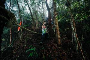 BIB: 
                            <button type="button" onclick="openModal(26401917)" class="btn btn-primary btn-sm float-right btn-popup" data-toggle="modal" data-target=".modal-high-quality">
                        <i class="fas fa-shopping-cart"></i> Add to Cart
                    </button>
                                            <button type="button" onclick="isThisMe(26401917, true)" class="btn btn-success btn-sm float-right btn-popup btn-isme hidden" data-toggle="tooltip" data-placement="bottom" title="นี่คือรูปของคุณใช่ไหม คลิกที่นี่เพื่อเอาเข้าอัลบั้ม">
                        <i class="fas fa-plus"></i> Add to album
                    </button>
                    <button type="button" onclick="isThisMe(26401917, false)" class="btn btn-warning btn-sm float-right btn-popup btn-isnotme hidden">
                        <i class="fas fa-ban"></i> Remove from album
                    </button>