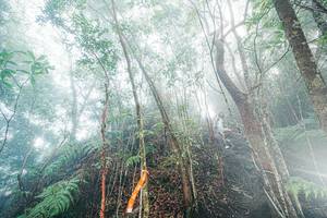 BIB: 
                            <button type="button" onclick="openModal(26402309)" class="btn btn-primary btn-sm float-right btn-popup" data-toggle="modal" data-target=".modal-high-quality">
                        <i class="fas fa-shopping-cart"></i> Add to Cart
                    </button>
                                            <button type="button" onclick="isThisMe(26402309, true)" class="btn btn-success btn-sm float-right btn-popup btn-isme hidden" data-toggle="tooltip" data-placement="bottom" title="นี่คือรูปของคุณใช่ไหม คลิกที่นี่เพื่อเอาเข้าอัลบั้ม">
                        <i class="fas fa-plus"></i> Add to album
                    </button>
                    <button type="button" onclick="isThisMe(26402309, false)" class="btn btn-warning btn-sm float-right btn-popup btn-isnotme hidden">
                        <i class="fas fa-ban"></i> Remove from album
                    </button>