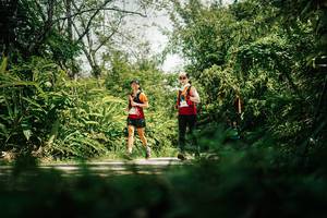 BIB: 
                            <button type="button" onclick="openModal(26408369)" class="btn btn-primary btn-sm float-right btn-popup" data-toggle="modal" data-target=".modal-high-quality">
                        <i class="fas fa-shopping-cart"></i> Add to Cart
                    </button>
                                            <button type="button" onclick="isThisMe(26408369, true)" class="btn btn-success btn-sm float-right btn-popup btn-isme hidden" data-toggle="tooltip" data-placement="bottom" title="นี่คือรูปของคุณใช่ไหม คลิกที่นี่เพื่อเอาเข้าอัลบั้ม">
                        <i class="fas fa-plus"></i> Add to album
                    </button>
                    <button type="button" onclick="isThisMe(26408369, false)" class="btn btn-warning btn-sm float-right btn-popup btn-isnotme hidden">
                        <i class="fas fa-ban"></i> Remove from album
                    </button>