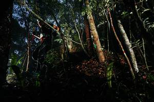 BIB: 
                            <button type="button" onclick="openModal(26388233)" class="btn btn-primary btn-sm float-right btn-popup" data-toggle="modal" data-target=".modal-high-quality">
                        <i class="fas fa-shopping-cart"></i> Add to Cart
                    </button>
                                            <button type="button" onclick="isThisMe(26388233, true)" class="btn btn-success btn-sm float-right btn-popup btn-isme hidden" data-toggle="tooltip" data-placement="bottom" title="นี่คือรูปของคุณใช่ไหม คลิกที่นี่เพื่อเอาเข้าอัลบั้ม">
                        <i class="fas fa-plus"></i> Add to album
                    </button>
                    <button type="button" onclick="isThisMe(26388233, false)" class="btn btn-warning btn-sm float-right btn-popup btn-isnotme hidden">
                        <i class="fas fa-ban"></i> Remove from album
                    </button>