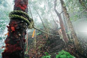 BIB: 
                            <button type="button" onclick="openModal(26402295)" class="btn btn-primary btn-sm float-right btn-popup" data-toggle="modal" data-target=".modal-high-quality">
                        <i class="fas fa-shopping-cart"></i> Add to Cart
                    </button>
                                            <button type="button" onclick="isThisMe(26402295, true)" class="btn btn-success btn-sm float-right btn-popup btn-isme hidden" data-toggle="tooltip" data-placement="bottom" title="นี่คือรูปของคุณใช่ไหม คลิกที่นี่เพื่อเอาเข้าอัลบั้ม">
                        <i class="fas fa-plus"></i> Add to album
                    </button>
                    <button type="button" onclick="isThisMe(26402295, false)" class="btn btn-warning btn-sm float-right btn-popup btn-isnotme hidden">
                        <i class="fas fa-ban"></i> Remove from album
                    </button>