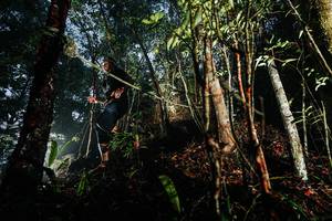 BIB: 
                            <button type="button" onclick="openModal(26389634)" class="btn btn-primary btn-sm float-right btn-popup" data-toggle="modal" data-target=".modal-high-quality">
                        <i class="fas fa-shopping-cart"></i> Add to Cart
                    </button>
                                            <button type="button" onclick="isThisMe(26389634, true)" class="btn btn-success btn-sm float-right btn-popup btn-isme hidden" data-toggle="tooltip" data-placement="bottom" title="นี่คือรูปของคุณใช่ไหม คลิกที่นี่เพื่อเอาเข้าอัลบั้ม">
                        <i class="fas fa-plus"></i> Add to album
                    </button>
                    <button type="button" onclick="isThisMe(26389634, false)" class="btn btn-warning btn-sm float-right btn-popup btn-isnotme hidden">
                        <i class="fas fa-ban"></i> Remove from album
                    </button>