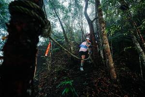 BIB: 
                            <button type="button" onclick="openModal(26401748)" class="btn btn-primary btn-sm float-right btn-popup" data-toggle="modal" data-target=".modal-high-quality">
                        <i class="fas fa-shopping-cart"></i> Add to Cart
                    </button>
                                            <button type="button" onclick="isThisMe(26401748, true)" class="btn btn-success btn-sm float-right btn-popup btn-isme hidden" data-toggle="tooltip" data-placement="bottom" title="นี่คือรูปของคุณใช่ไหม คลิกที่นี่เพื่อเอาเข้าอัลบั้ม">
                        <i class="fas fa-plus"></i> Add to album
                    </button>
                    <button type="button" onclick="isThisMe(26401748, false)" class="btn btn-warning btn-sm float-right btn-popup btn-isnotme hidden">
                        <i class="fas fa-ban"></i> Remove from album
                    </button>