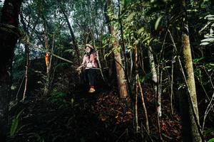 BIB: 
                            <button type="button" onclick="openModal(26394949)" class="btn btn-primary btn-sm float-right btn-popup" data-toggle="modal" data-target=".modal-high-quality">
                        <i class="fas fa-shopping-cart"></i> Add to Cart
                    </button>
                                            <button type="button" onclick="isThisMe(26394949, true)" class="btn btn-success btn-sm float-right btn-popup btn-isme hidden" data-toggle="tooltip" data-placement="bottom" title="นี่คือรูปของคุณใช่ไหม คลิกที่นี่เพื่อเอาเข้าอัลบั้ม">
                        <i class="fas fa-plus"></i> Add to album
                    </button>
                    <button type="button" onclick="isThisMe(26394949, false)" class="btn btn-warning btn-sm float-right btn-popup btn-isnotme hidden">
                        <i class="fas fa-ban"></i> Remove from album
                    </button>