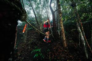 BIB: 
                            <button type="button" onclick="openModal(26401818)" class="btn btn-primary btn-sm float-right btn-popup" data-toggle="modal" data-target=".modal-high-quality">
                        <i class="fas fa-shopping-cart"></i> Add to Cart
                    </button>
                                            <button type="button" onclick="isThisMe(26401818, true)" class="btn btn-success btn-sm float-right btn-popup btn-isme hidden" data-toggle="tooltip" data-placement="bottom" title="นี่คือรูปของคุณใช่ไหม คลิกที่นี่เพื่อเอาเข้าอัลบั้ม">
                        <i class="fas fa-plus"></i> Add to album
                    </button>
                    <button type="button" onclick="isThisMe(26401818, false)" class="btn btn-warning btn-sm float-right btn-popup btn-isnotme hidden">
                        <i class="fas fa-ban"></i> Remove from album
                    </button>