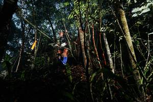 BIB: 
                            <button type="button" onclick="openModal(26392289)" class="btn btn-primary btn-sm float-right btn-popup" data-toggle="modal" data-target=".modal-high-quality">
                        <i class="fas fa-shopping-cart"></i> Add to Cart
                    </button>
                                            <button type="button" onclick="isThisMe(26392289, true)" class="btn btn-success btn-sm float-right btn-popup btn-isme hidden" data-toggle="tooltip" data-placement="bottom" title="นี่คือรูปของคุณใช่ไหม คลิกที่นี่เพื่อเอาเข้าอัลบั้ม">
                        <i class="fas fa-plus"></i> Add to album
                    </button>
                    <button type="button" onclick="isThisMe(26392289, false)" class="btn btn-warning btn-sm float-right btn-popup btn-isnotme hidden">
                        <i class="fas fa-ban"></i> Remove from album
                    </button>