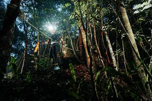 BIB: 
                            <button type="button" onclick="openModal(26391498)" class="btn btn-primary btn-sm float-right btn-popup" data-toggle="modal" data-target=".modal-high-quality">
                        <i class="fas fa-shopping-cart"></i> Add to Cart
                    </button>
                                            <button type="button" onclick="isThisMe(26391498, true)" class="btn btn-success btn-sm float-right btn-popup btn-isme hidden" data-toggle="tooltip" data-placement="bottom" title="นี่คือรูปของคุณใช่ไหม คลิกที่นี่เพื่อเอาเข้าอัลบั้ม">
                        <i class="fas fa-plus"></i> Add to album
                    </button>
                    <button type="button" onclick="isThisMe(26391498, false)" class="btn btn-warning btn-sm float-right btn-popup btn-isnotme hidden">
                        <i class="fas fa-ban"></i> Remove from album
                    </button>