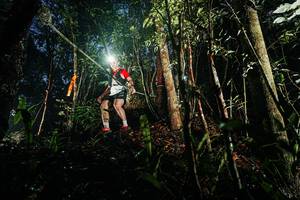 BIB: 
                            <button type="button" onclick="openModal(26387368)" class="btn btn-primary btn-sm float-right btn-popup" data-toggle="modal" data-target=".modal-high-quality">
                        <i class="fas fa-shopping-cart"></i> Add to Cart
                    </button>
                                            <button type="button" onclick="isThisMe(26387368, true)" class="btn btn-success btn-sm float-right btn-popup btn-isme hidden" data-toggle="tooltip" data-placement="bottom" title="นี่คือรูปของคุณใช่ไหม คลิกที่นี่เพื่อเอาเข้าอัลบั้ม">
                        <i class="fas fa-plus"></i> Add to album
                    </button>
                    <button type="button" onclick="isThisMe(26387368, false)" class="btn btn-warning btn-sm float-right btn-popup btn-isnotme hidden">
                        <i class="fas fa-ban"></i> Remove from album
                    </button>