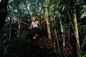 BIB: 
                            <button type="button" onclick="openModal(26394946)" class="btn btn-primary btn-sm float-right btn-popup" data-toggle="modal" data-target=".modal-high-quality">
                        <i class="fas fa-shopping-cart"></i> Add to Cart
                    </button>
                                            <button type="button" onclick="isThisMe(26394946, true)" class="btn btn-success btn-sm float-right btn-popup btn-isme hidden" data-toggle="tooltip" data-placement="bottom" title="นี่คือรูปของคุณใช่ไหม คลิกที่นี่เพื่อเอาเข้าอัลบั้ม">
                        <i class="fas fa-plus"></i> Add to album
                    </button>
                    <button type="button" onclick="isThisMe(26394946, false)" class="btn btn-warning btn-sm float-right btn-popup btn-isnotme hidden">
                        <i class="fas fa-ban"></i> Remove from album
                    </button>